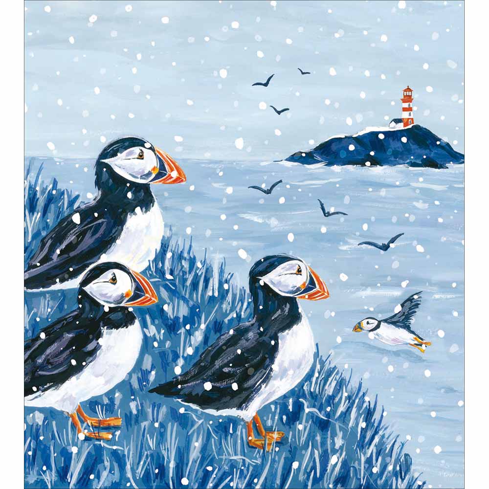 Winter Puffins Charity pack of 5 Greeting cards - Daisy Park