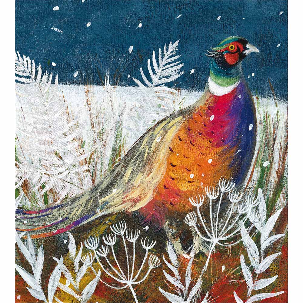 Festive Pheasant Charity pack of 5 Greeting cards - Daisy Park
