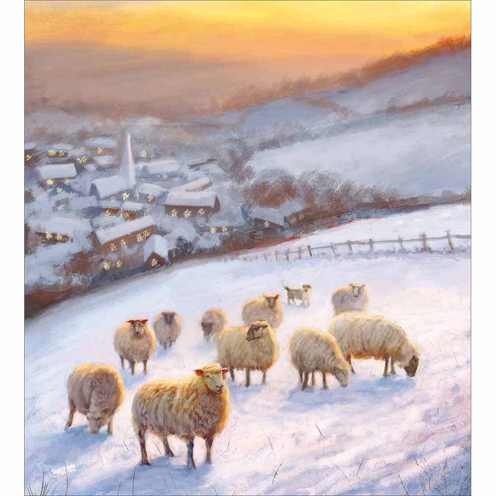 Snow Sheep Charity pack of 5 Greeting cards - Daisy Park