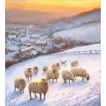 Snow Sheep Charity pack of 5 Greeting cards - Daisy Park