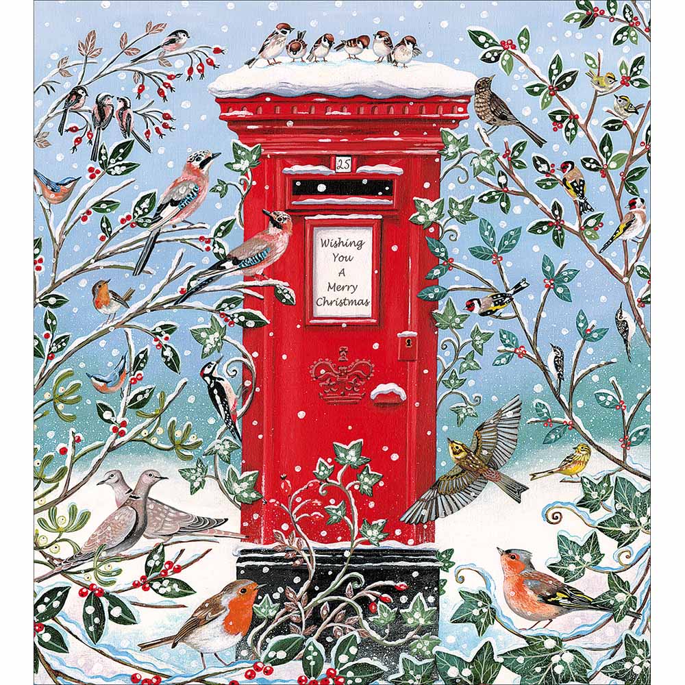 Bird Box Charity pack of 5 Greeting cards - Daisy Park