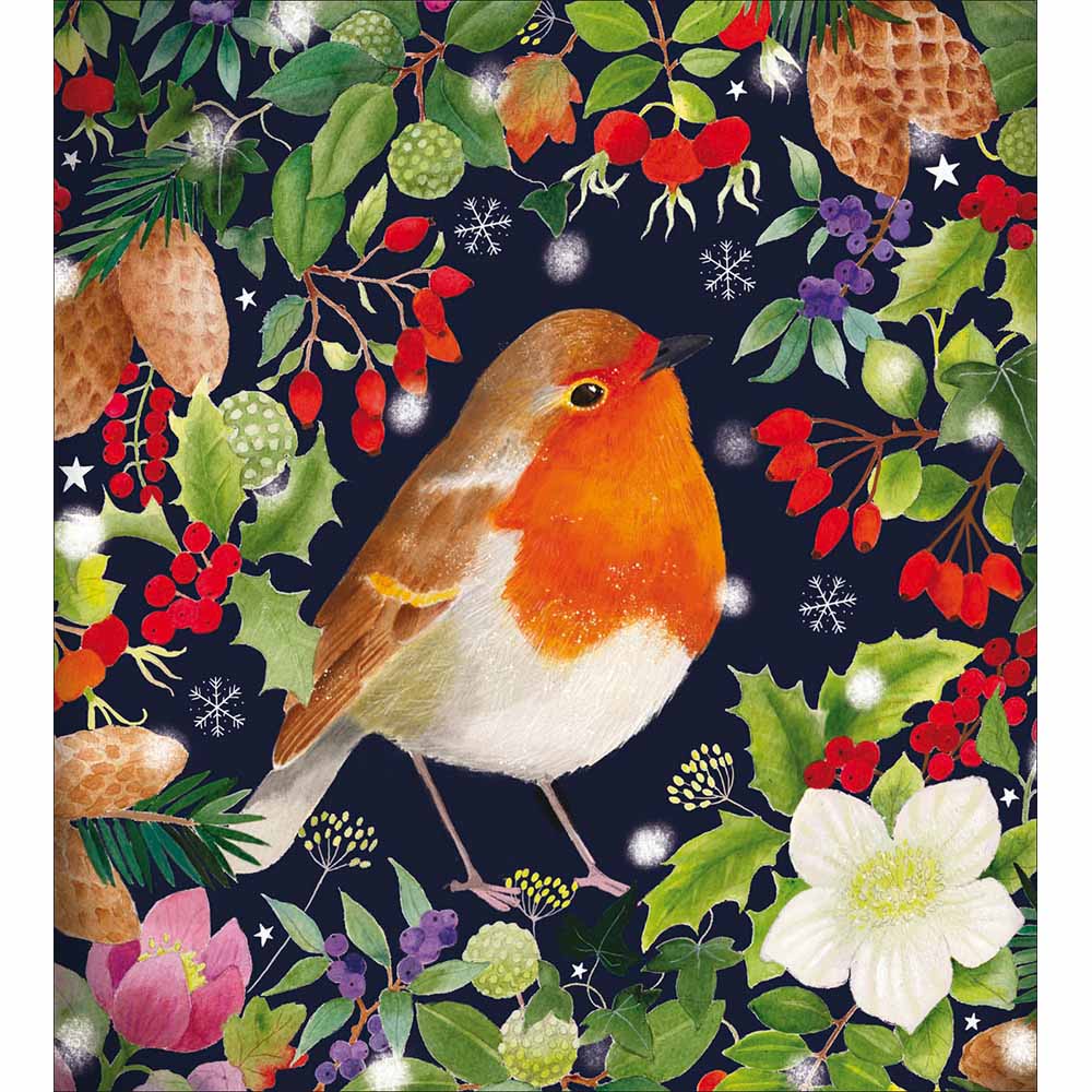 Little Robin Charity pack of 5 Greeting cards - Daisy Park