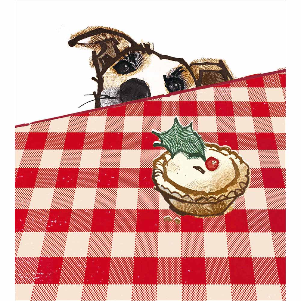 Doggy Delight Charity pack of 5 Greeting cards - Daisy Park