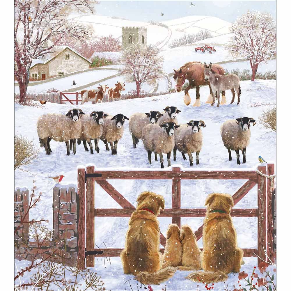 The English Countryside Charity pack of 5 Greeting cards - Daisy Park