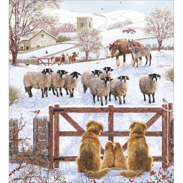 The English Countryside Charity pack of 5 Greeting cards - Daisy Park