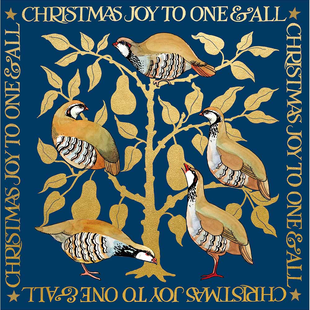 Joy to one and all Christmas Card - Daisy Park