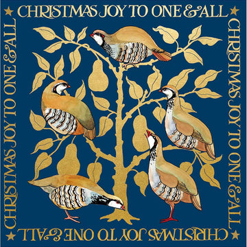 Joy to one and all Christmas Card - Daisy Park