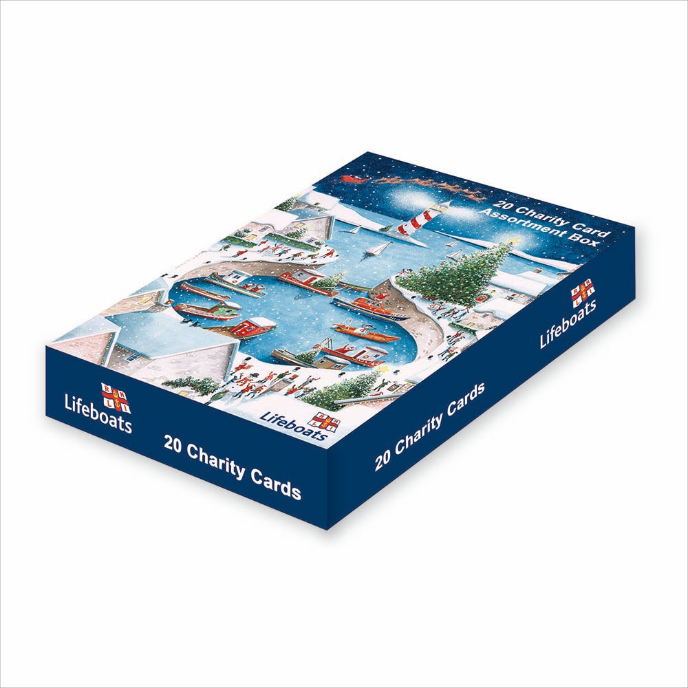 RNLI Charity box of 20 mixed cards 2025 - Daisy Park
