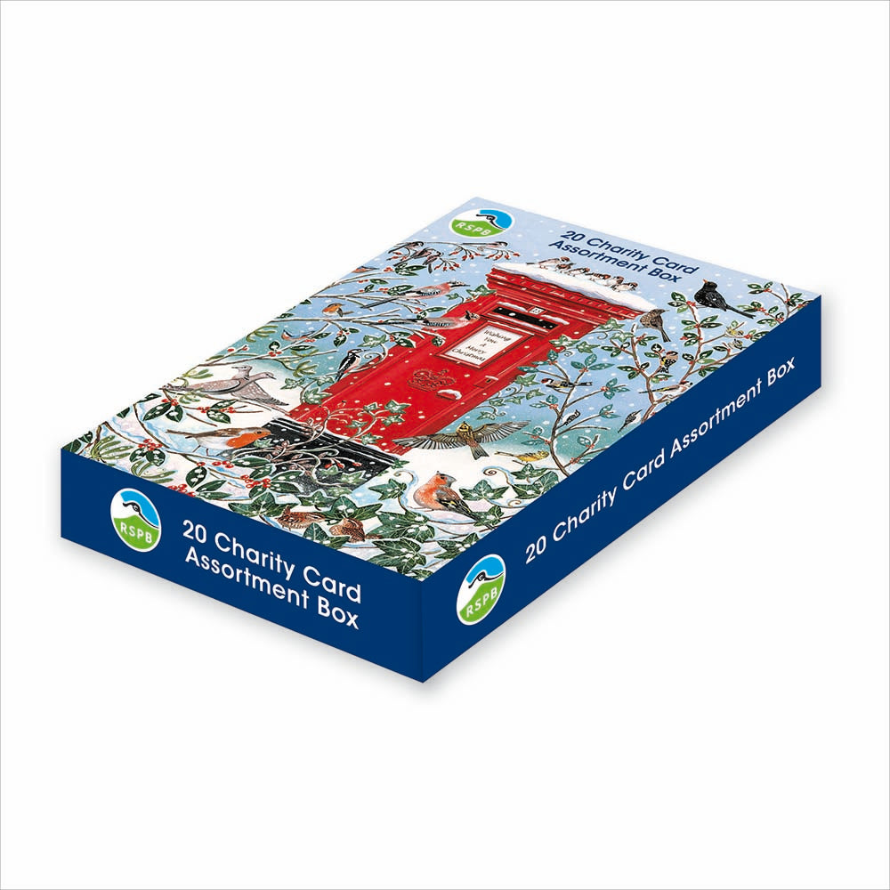 RSPB Charity box of 20 mixed cards 2025 - Daisy Park
