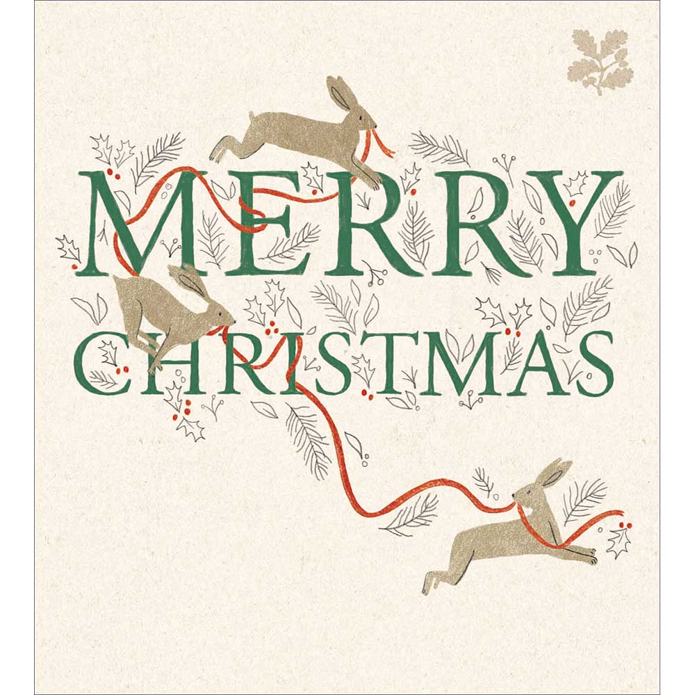 Playful Bunnies Charity pack of 5 Greeting cards - Daisy Park