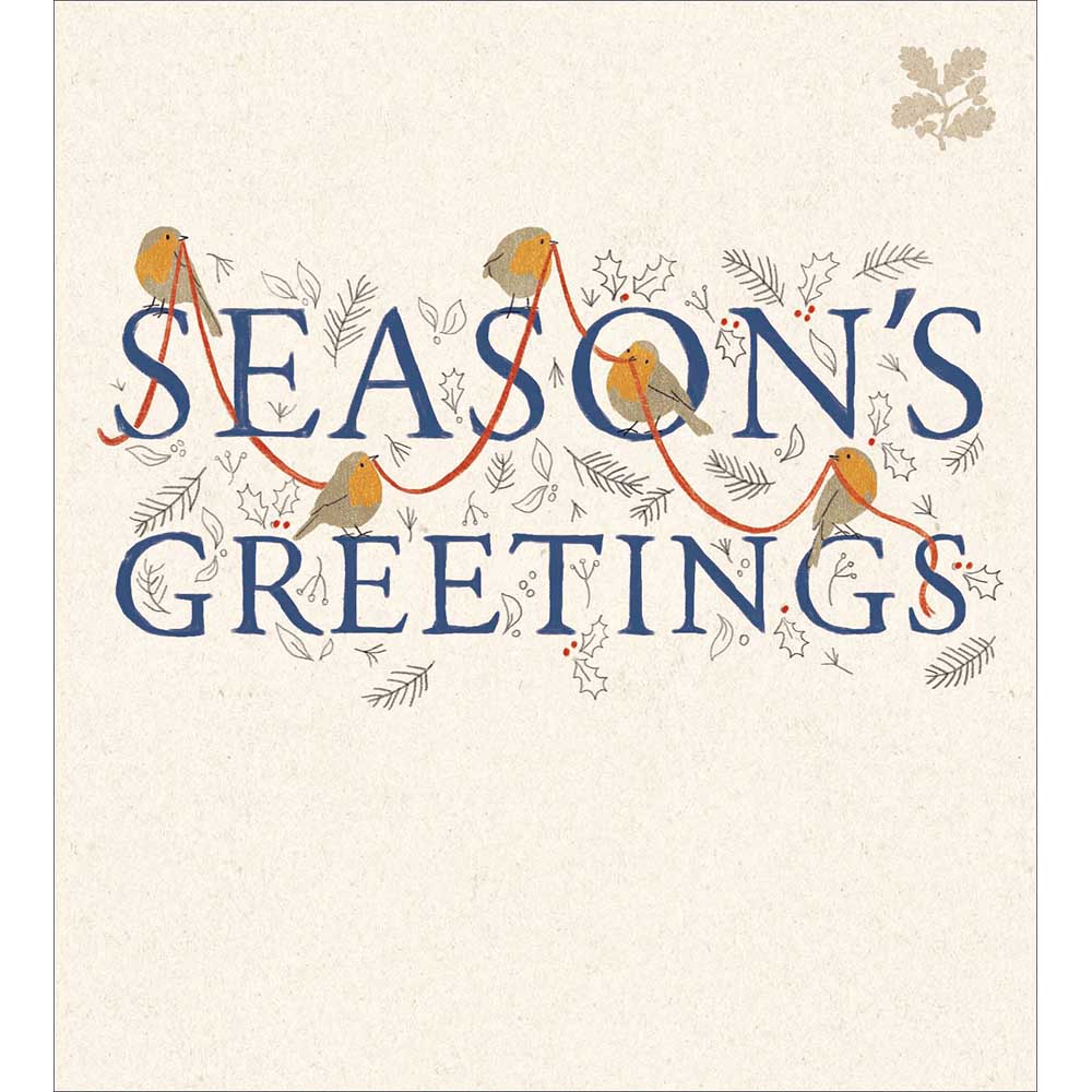 Robin Routine Charity pack of 5 Greeting cards - Daisy Park