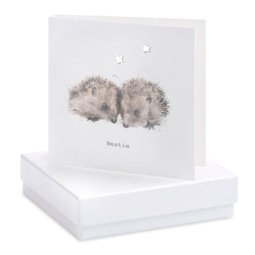 Boxed Hedgehog earring card - Daisy Park