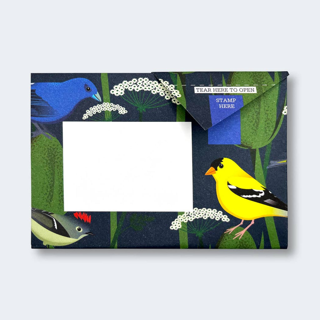 Carnival of Colour Pigeon letter pack - Daisy Park