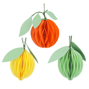 Honeycomb Paper Citrus decoration - Daisy Park