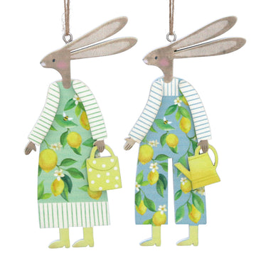 Lemon boy or girl Bunny dec - Daisy Park