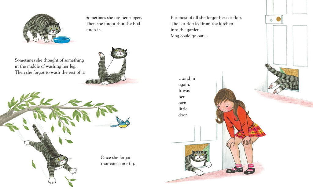 Mog the Forgetful cat 50th Anniversary book - Daisy Park