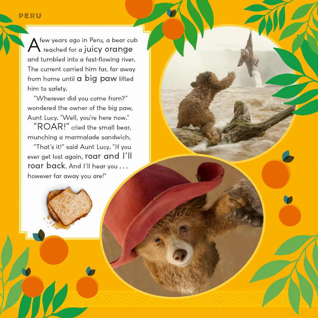 Paddington in Peru book - Daisy Park