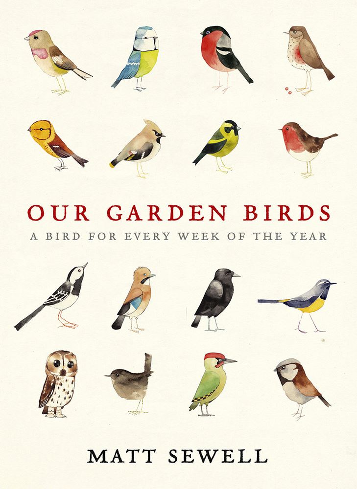 Our garden birds book - Daisy Park
