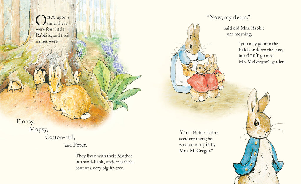 Tale of Peter Rabbit picture book - Daisy Park