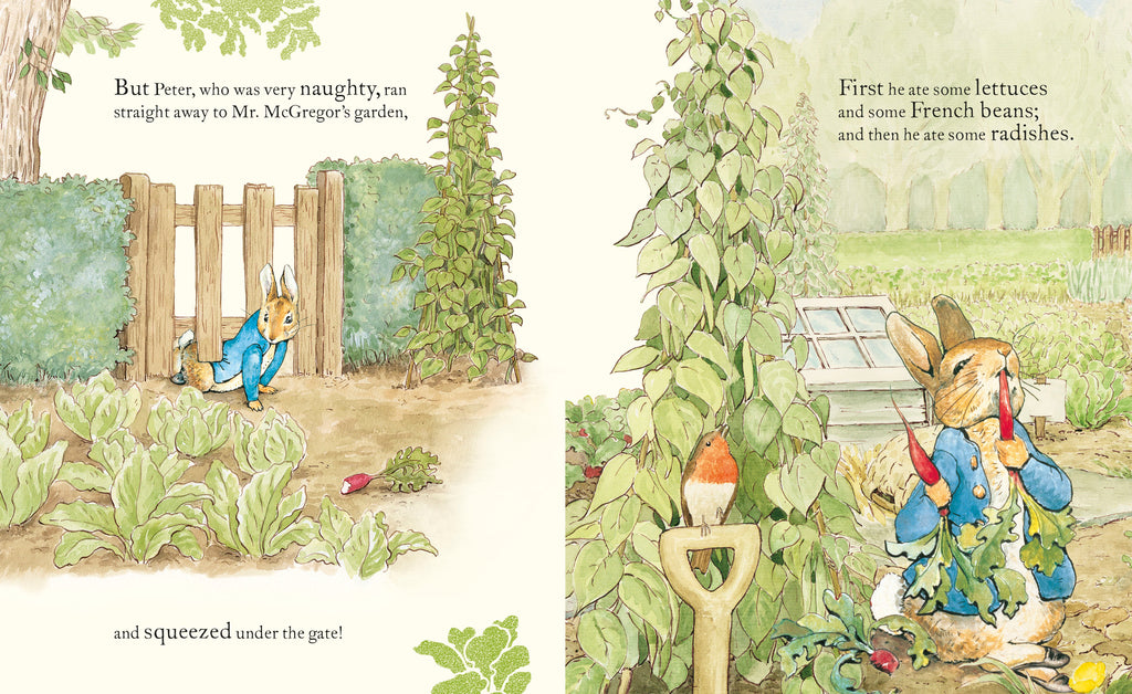 Tale of Peter Rabbit picture book - Daisy Park