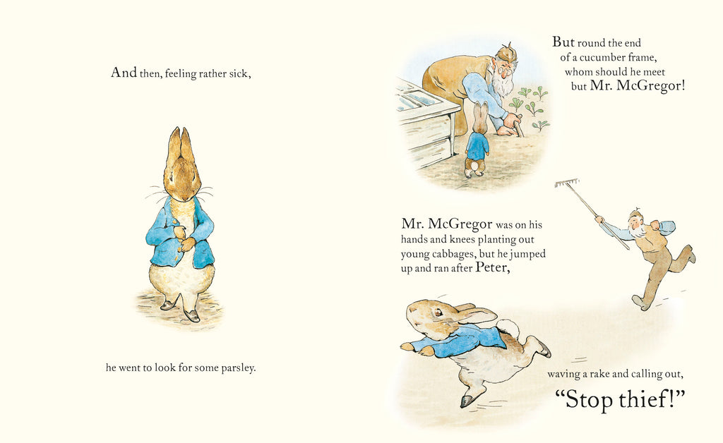 Tale of Peter Rabbit picture book - Daisy Park