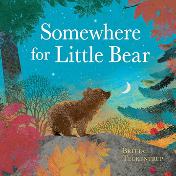 Somewhere for Little Bear book - Daisy Park
