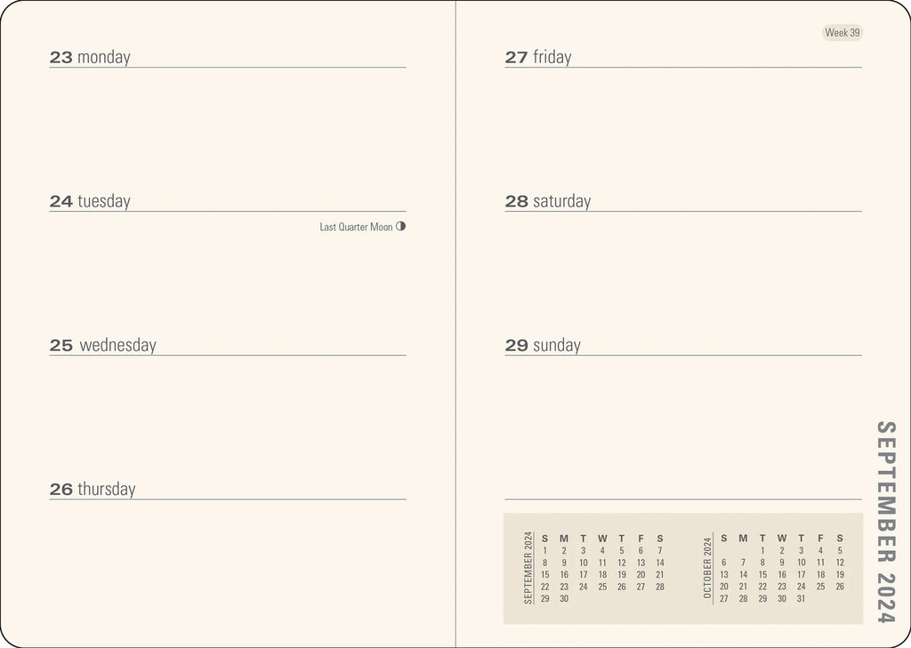 2024 Old World weekly diary - Daisy Park