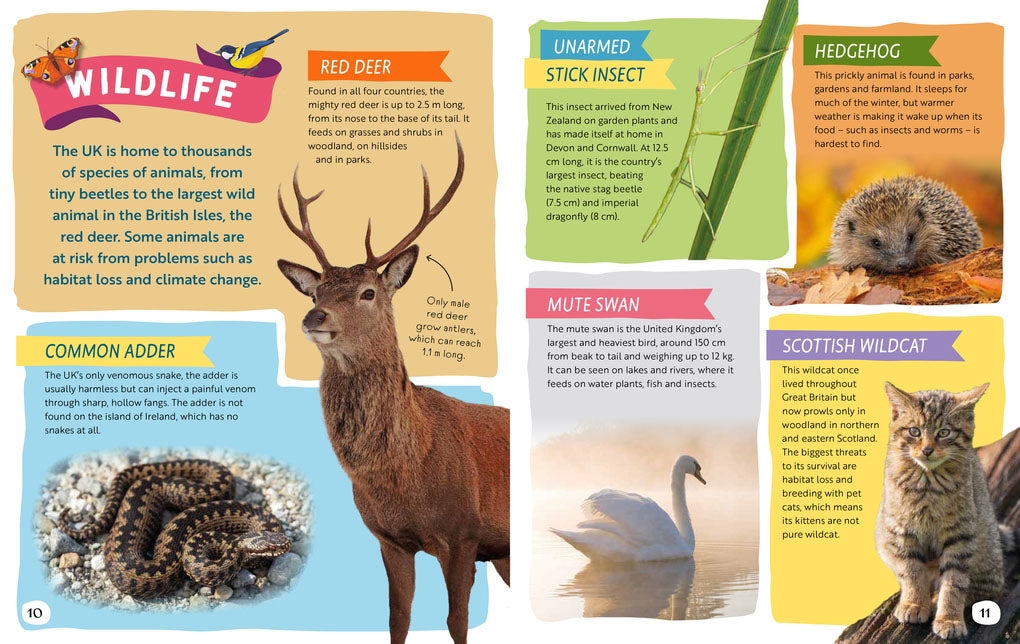 Journey around the United Kingdom book - Daisy Park