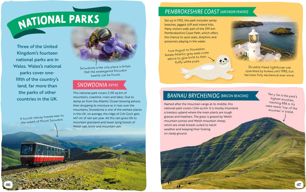 Journey around the United Kingdom book - Daisy Park