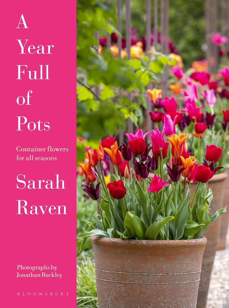 Year full of pots: Containers pots for all seasons book - Daisy Park