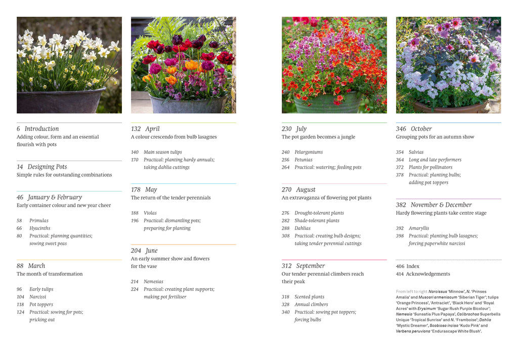 Year full of pots: Containers pots for all seasons book - Daisy Park