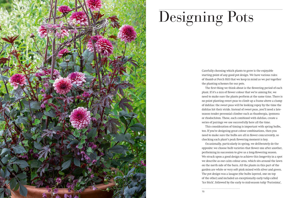 Year full of pots: Containers pots for all seasons book - Daisy Park