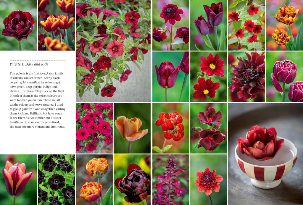 Year full of pots: Containers pots for all seasons book - Daisy Park