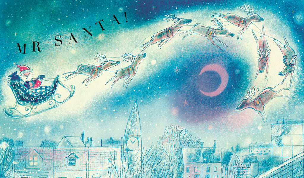 Mr Santa book - Daisy Park