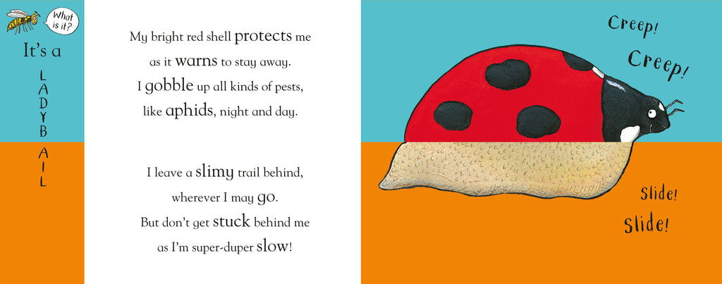 Axel Schefflers Flip Flap Minibeasts board book - Daisy Park