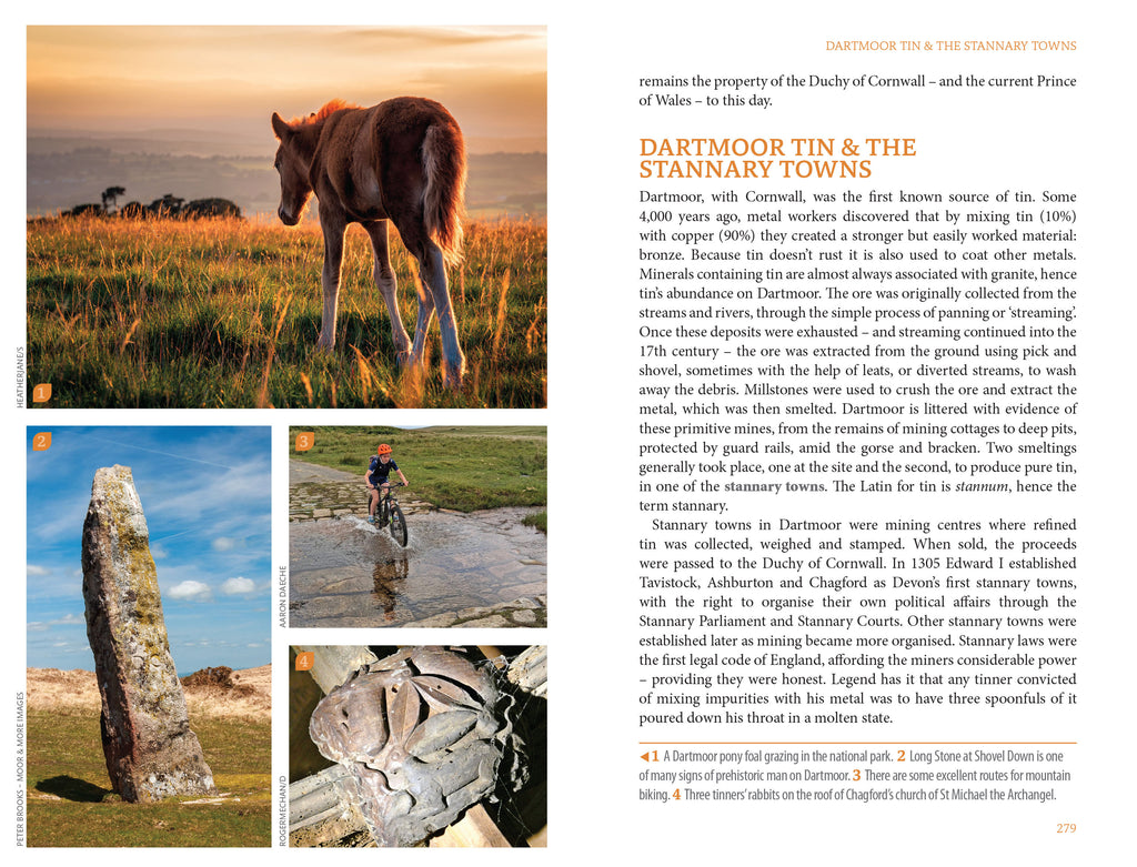 South Devon and Dartmoor: Slow travel book - Daisy Park