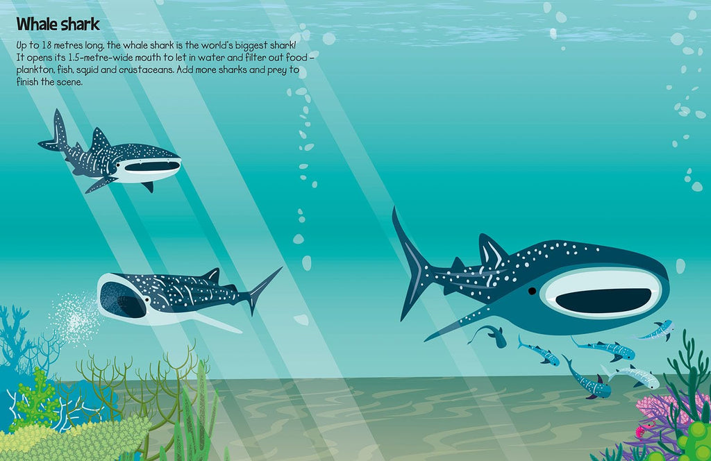 555 Sticker fun Sharks book - Daisy Park