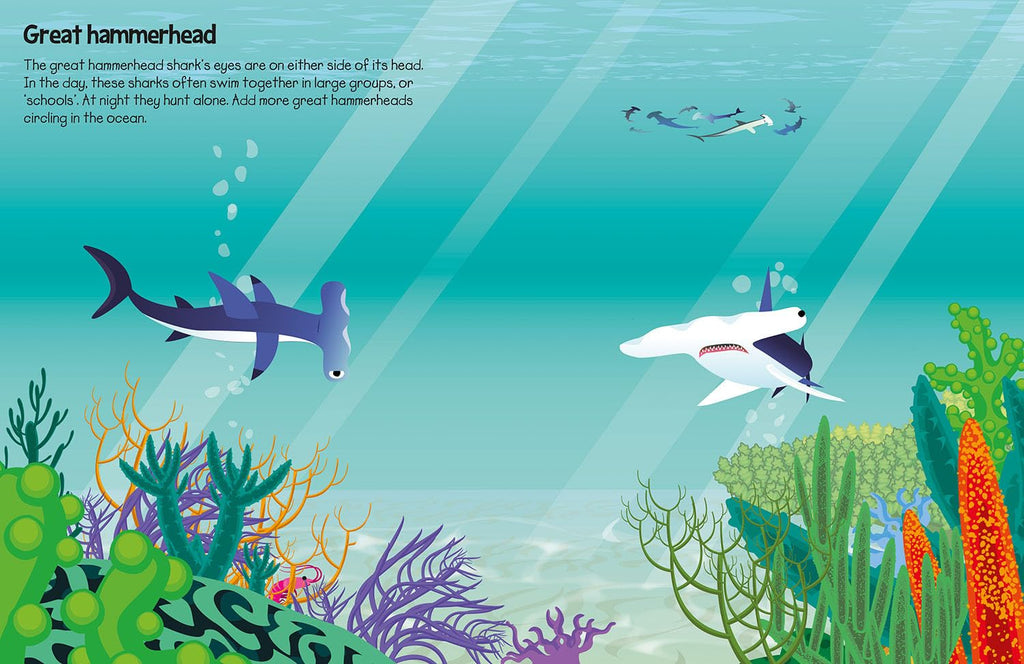 555 Sticker fun Sharks book - Daisy Park