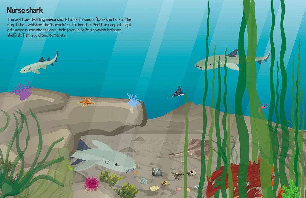 555 Sticker fun Sharks book - Daisy Park