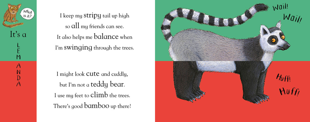 Axel Schefflers Flip Flap Zoo board book - Daisy Park