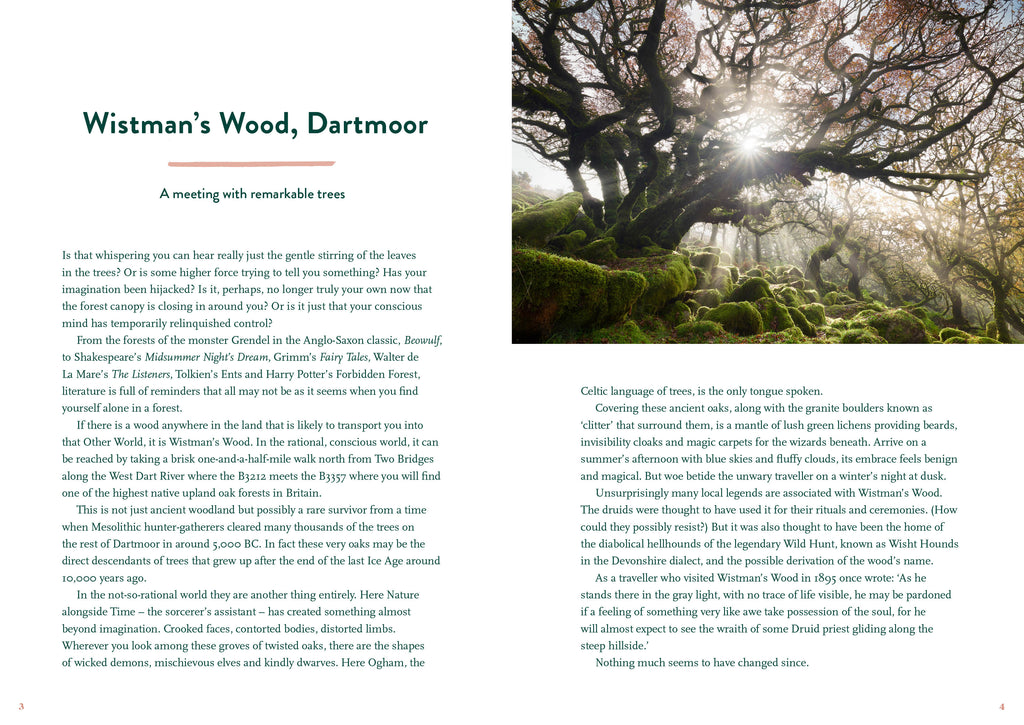 The Great British Bucket list - Daisy Park