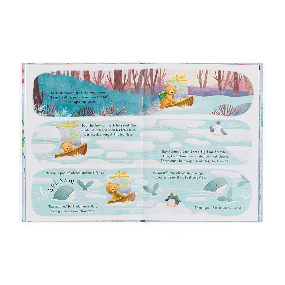 Bartholomew Bear and the snow giants book - Daisy Park