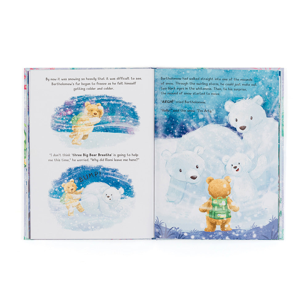 Bartholomew Bear and the snow giants book - Daisy Park