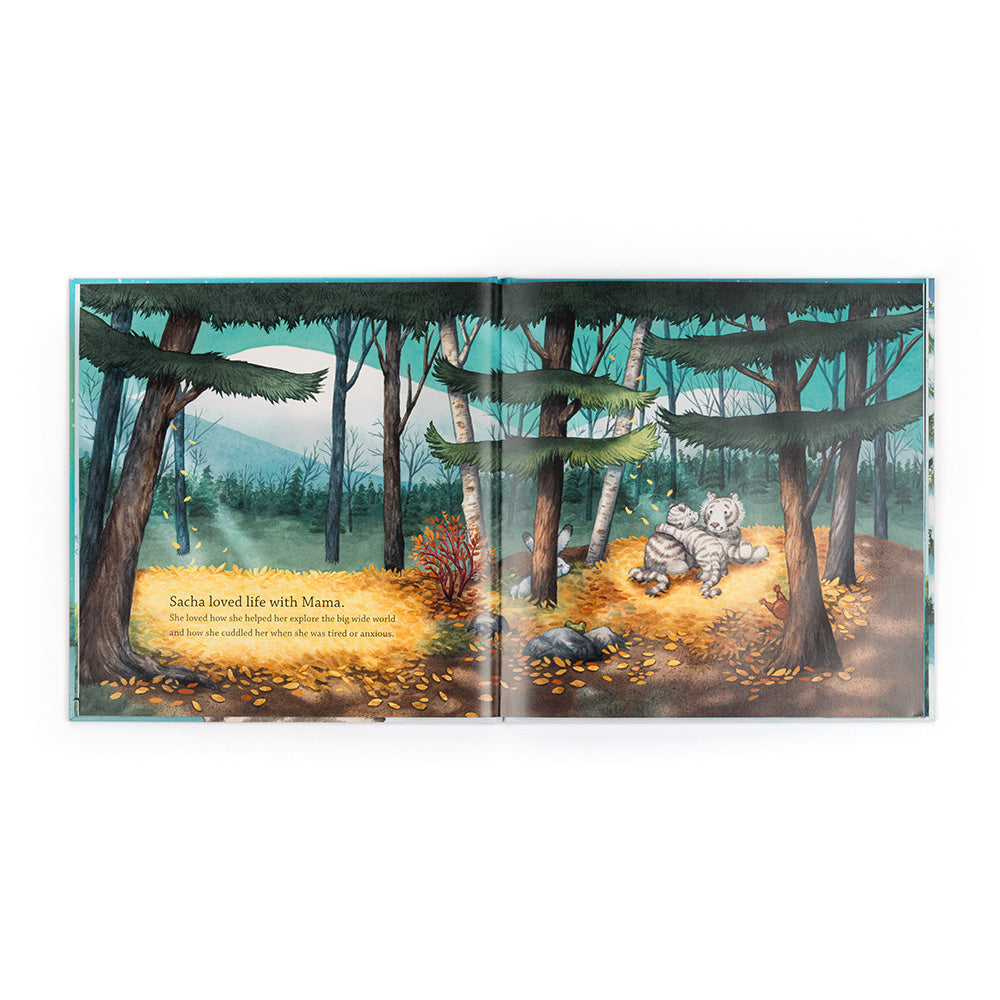 Sacha and the most wonderful thing book - Daisy Park