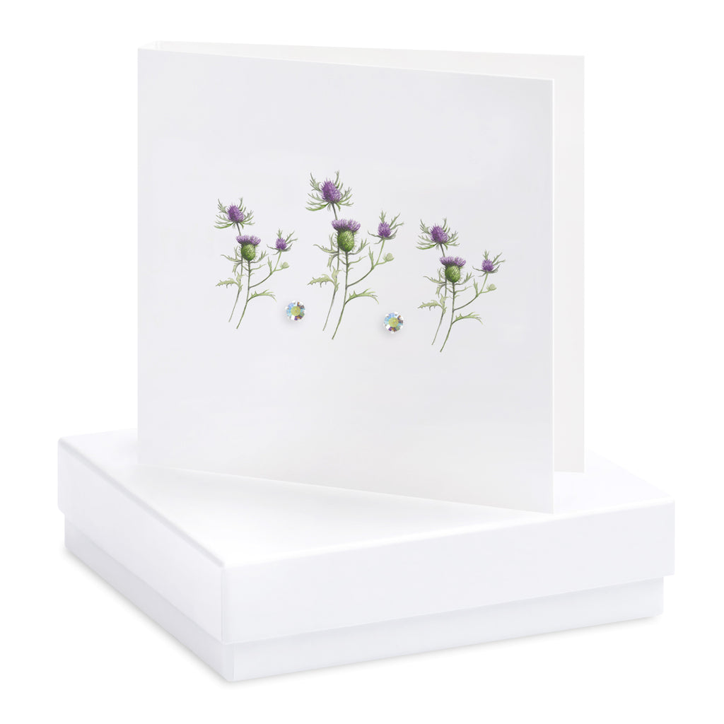 Boxed Thistle earring card - Daisy Park