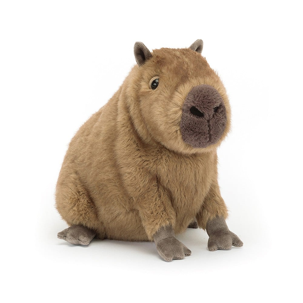 Jellycat Clyde Capybara - Daisy Park