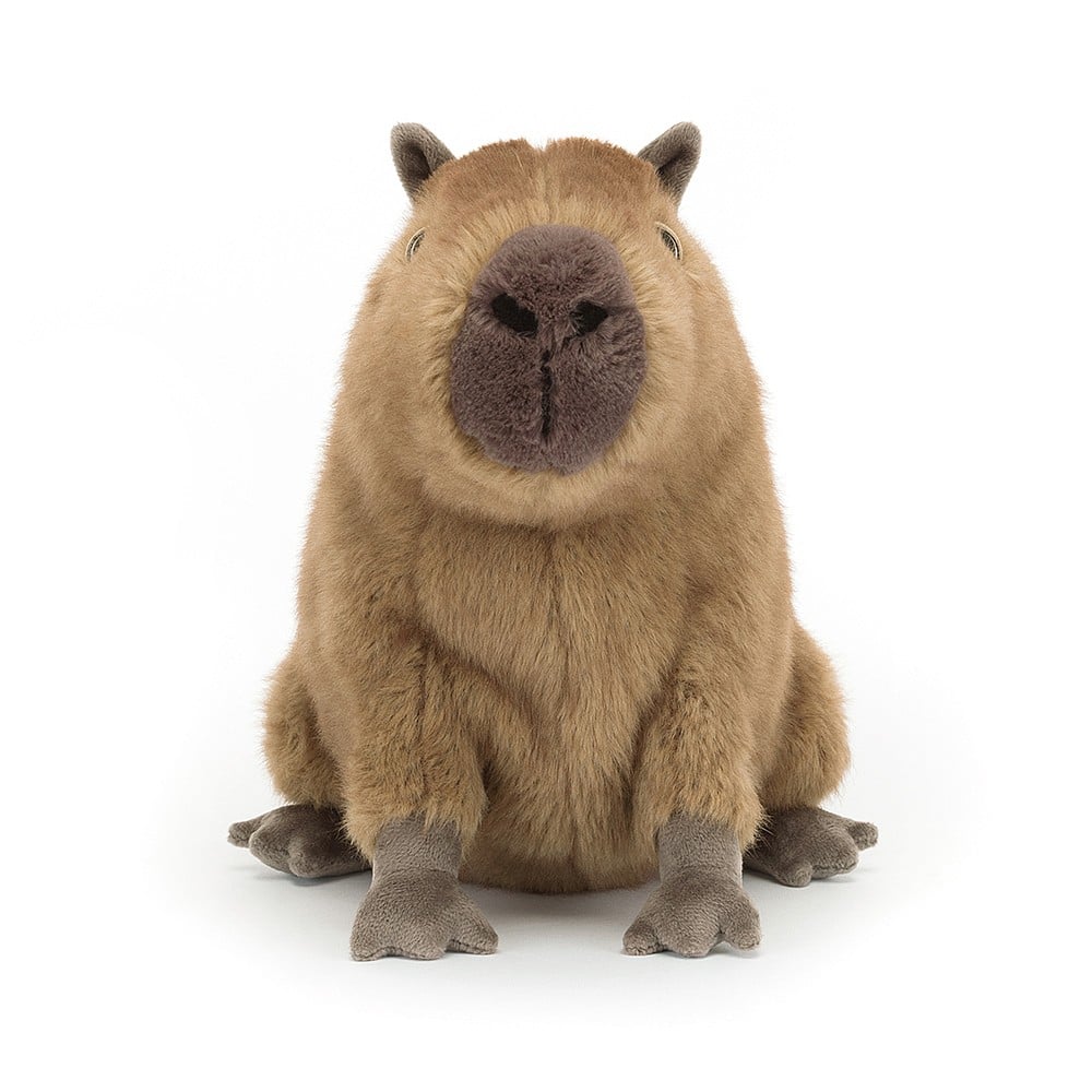 Jellycat Clyde Capybara - Daisy Park