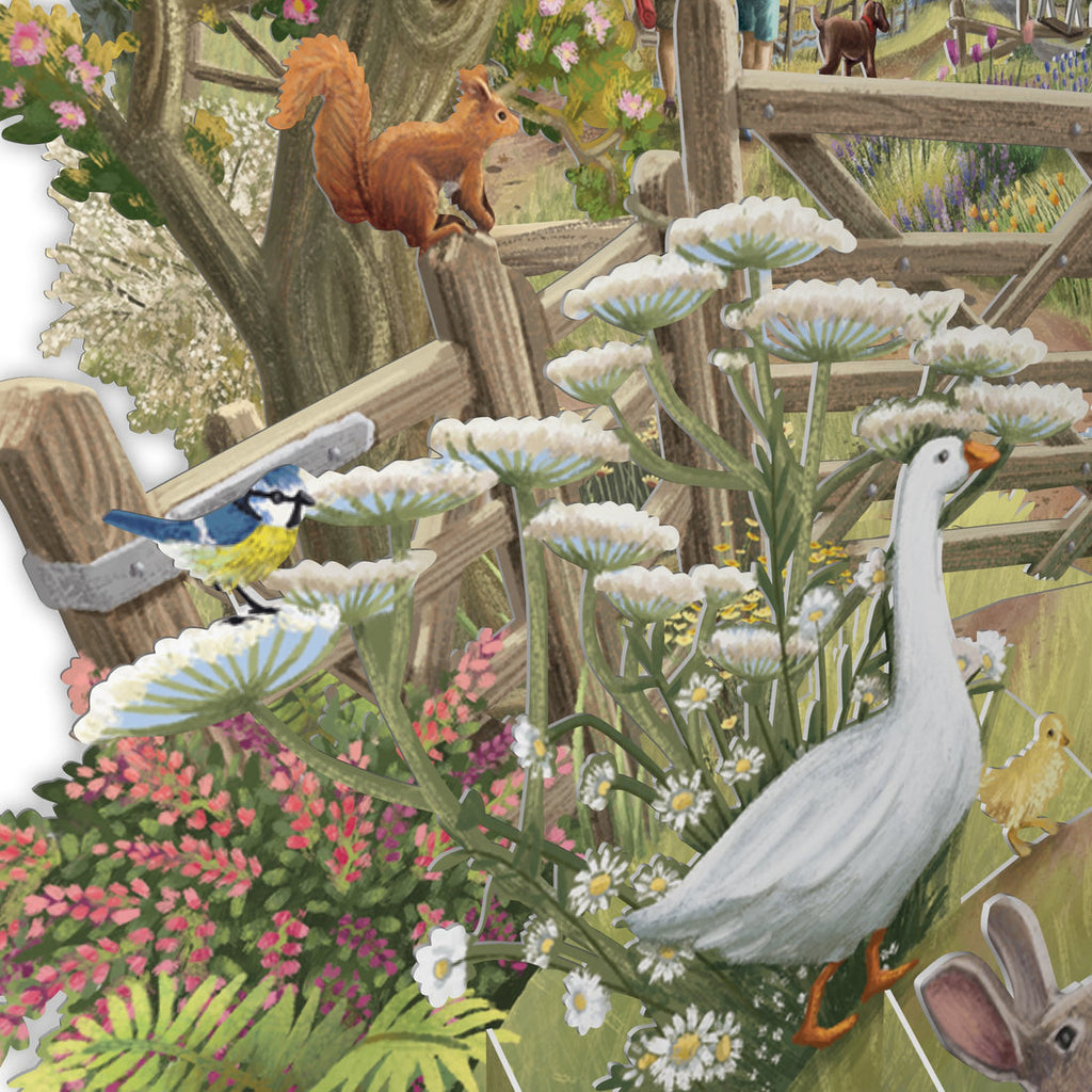 Countryside 3D pop up greeting card - Daisy Park