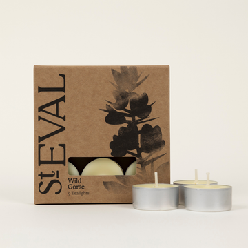 St Eval Wild Gorse tealights - Daisy Park