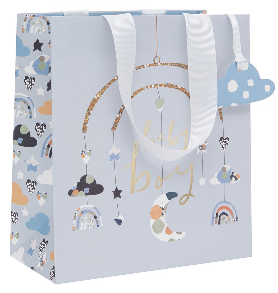 Baby boy medium gift bag - Daisy Park